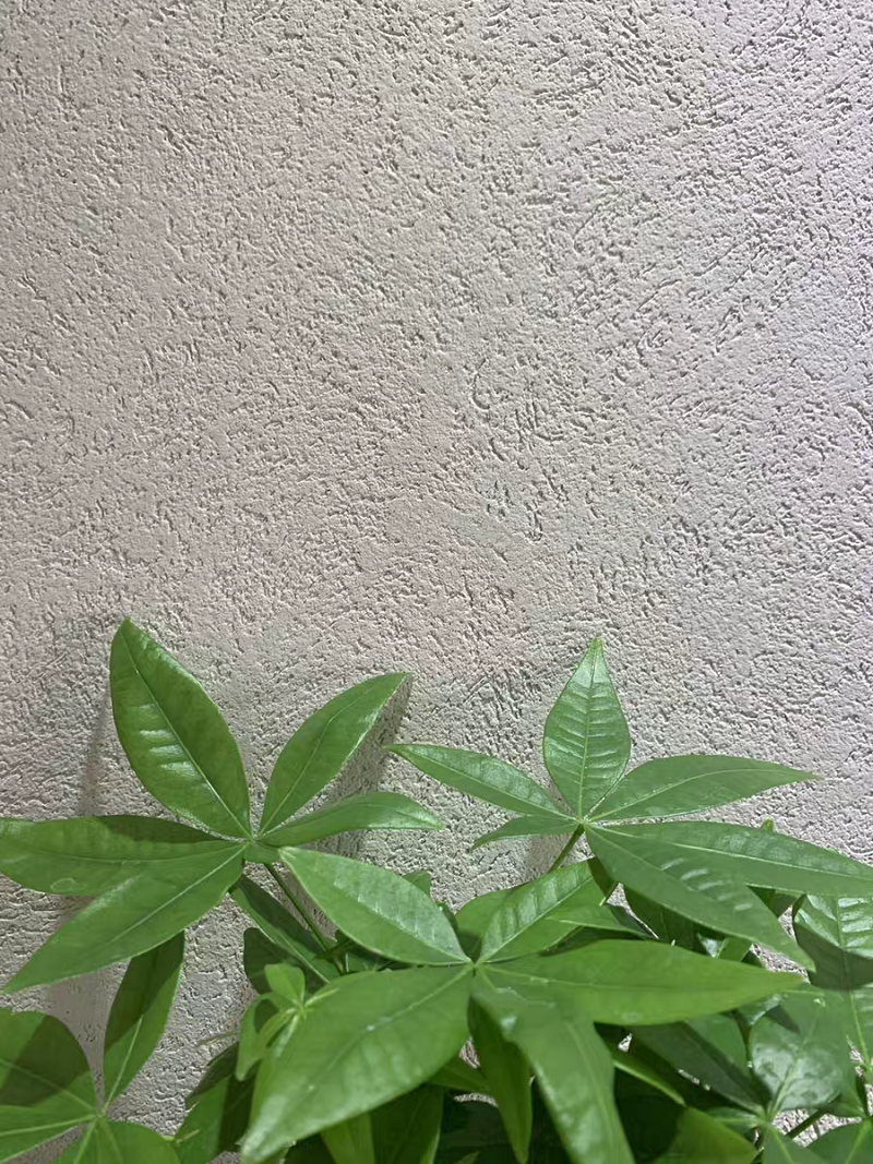 萬磊雅晶石  內(nèi)附施工視頻，史上最全的雅晶石全攻略收錄