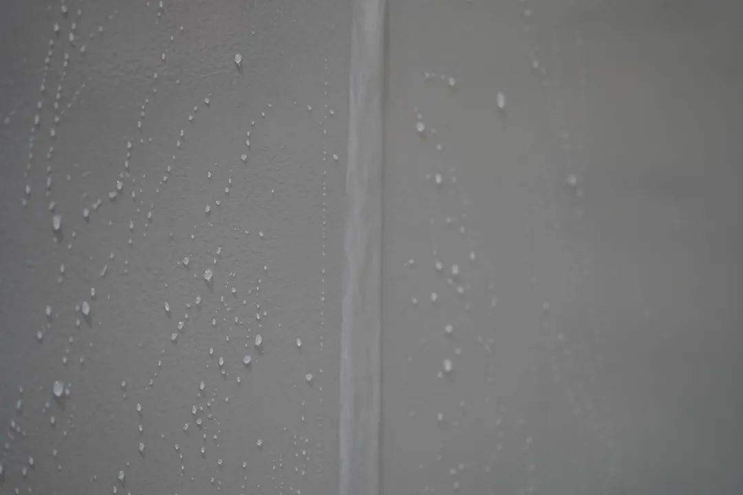 一場發(fā)布會(huì)，展開微水泥革命 | 2023萬磊廣佛千人行完滿成功