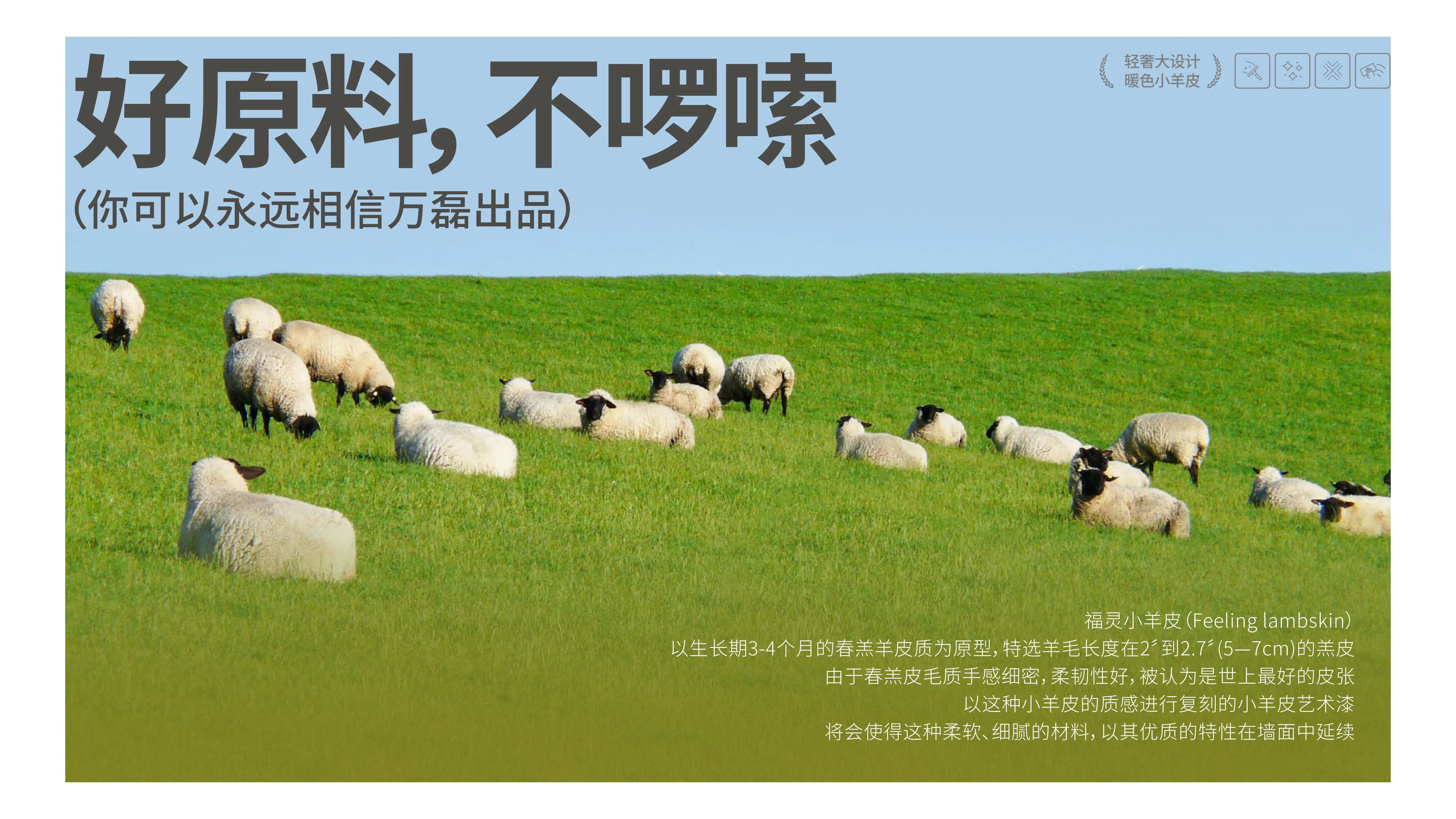 萬磊福靈小羊皮來啦！多樣的表面質(zhì)感等您來解鎖~