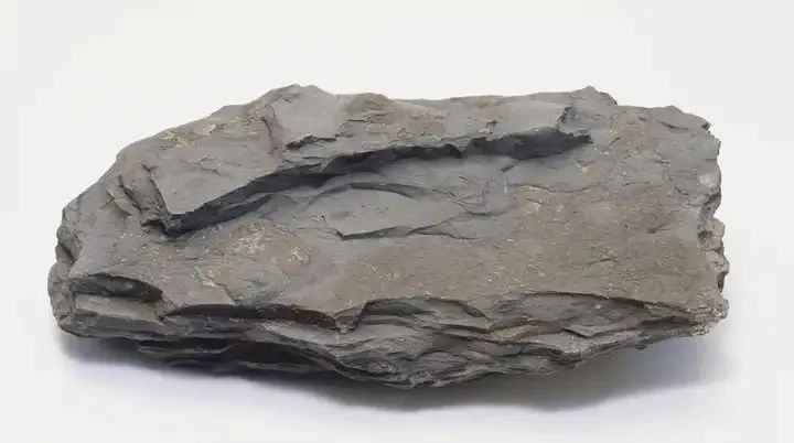 新品登場(chǎng) | 頁(yè)巖石樺奴，獨(dú)家一比一復(fù)刻伯吉斯頁(yè)巖