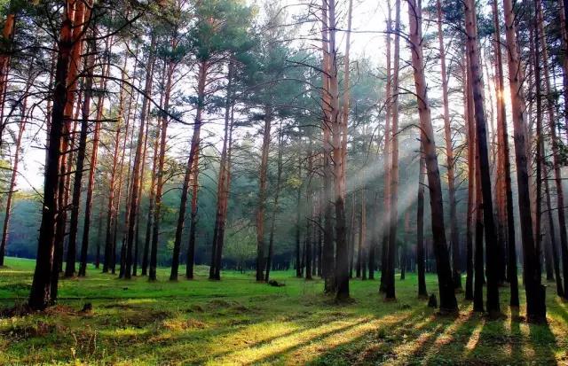 環(huán)保風(fēng)暴襲擊，萬磊居然還去了北京搞了這么大件事...