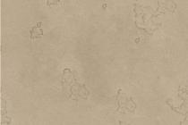 水性硅藻泥-墻格WA+E10A