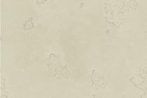 水性硅藻泥-墻格WA+E1A