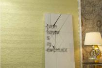 水性硅藻泥-樹(shù)皮ba+e12a