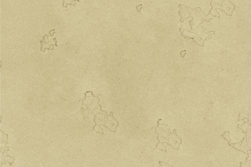 水性硅藻泥-墻格WA+E5A