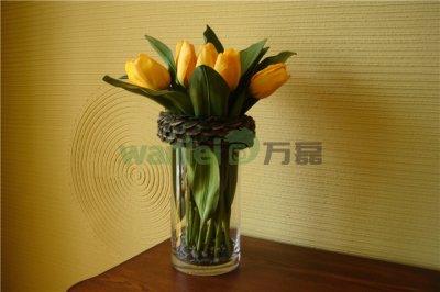 有了硅藻泥，新房入住不再等！