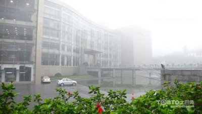 驚蟄過，春雨至，硅藻泥讓你告別濕轆轆