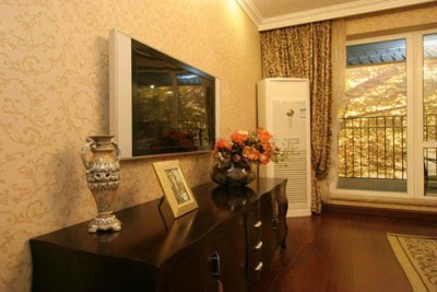 栩栩如生的硅藻泥電視背景墻喜歡嗎？